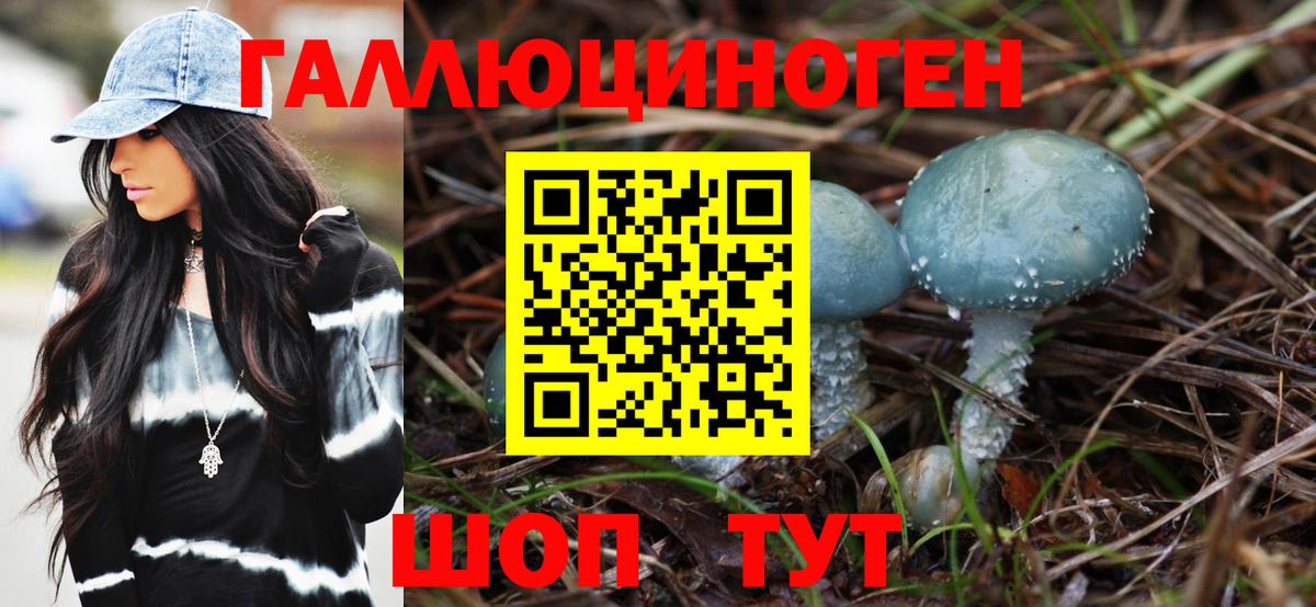Липецк  Галлюциногенные грибы Cubensis  Вход с VPN 